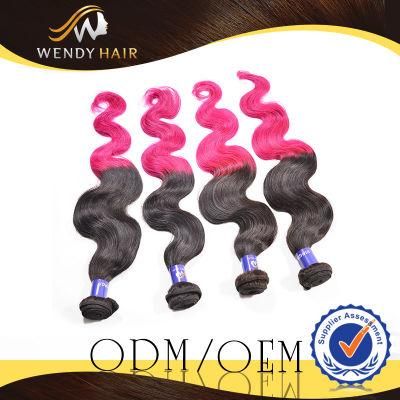 Ombre Color Malaysian Hair Weaving
