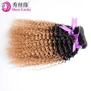 Mink Brazilian Hair Two Tone Colored Kinky Curly Remy Virgin Brazil Ombre Human Hair Weaving