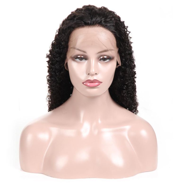 Alinybeauty Virgin Brazilian Human Hair Lace Front Wig