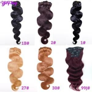 Burgundy Body Wavy 100% Human Hair Clip in Hair Extension