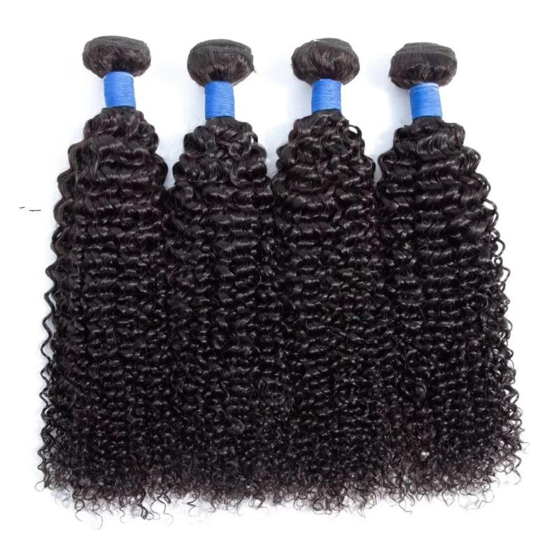 10A Grade Brazilian Kinky Curly Human Hair Bundles