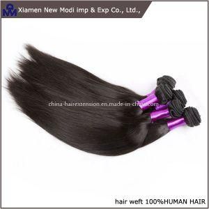 High Quality Remy Brazilian Human Hair Weave