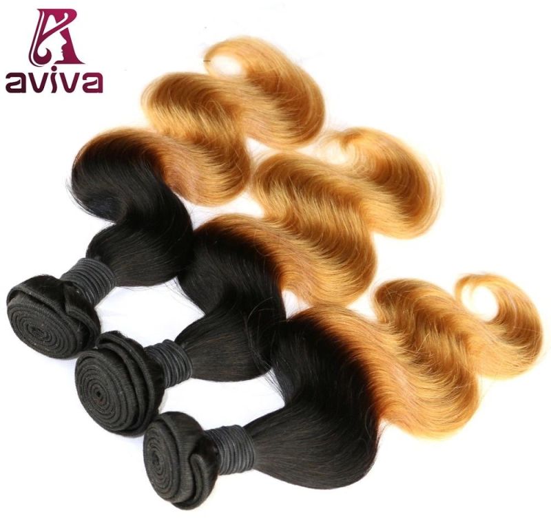 Silky Straight Natural Virgin Ombre Hair Extension