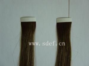Tape Hair Extension (EF-SW-2)