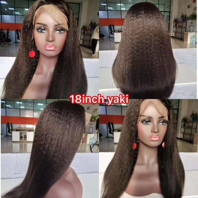 Wigs 100% Human Hair Lace Front Wig