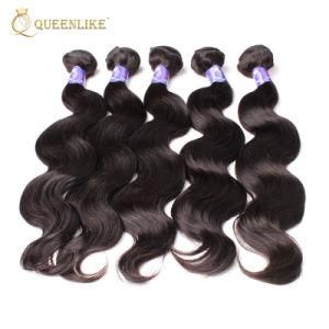 Raw Brazilian Cuticle Aligned Manufacturer Remy Hair Extensions