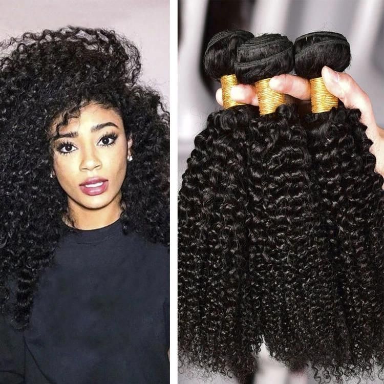 Cheap Raw Indian Curly Hair, Afro Kinky Curly Hair Extension, Curly Hair Bundles