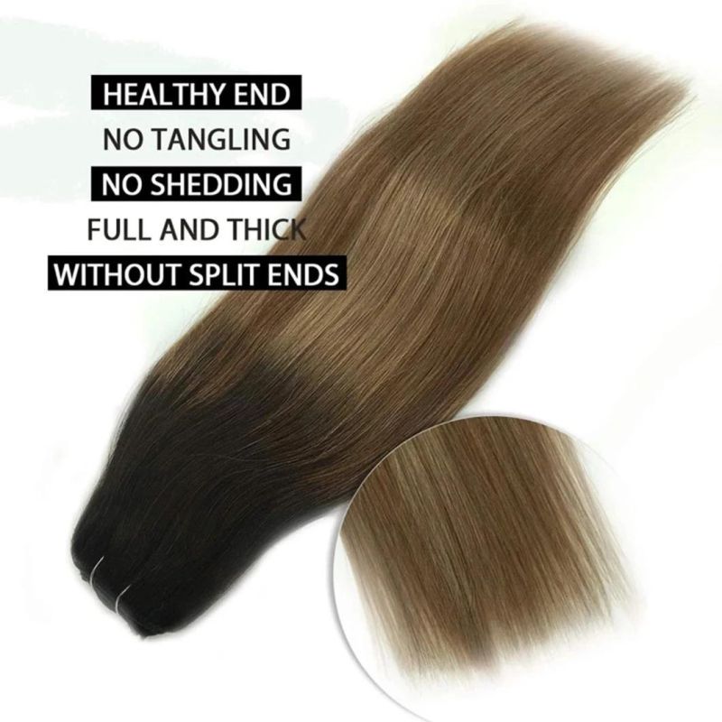 Brazilian Human Hair Extensions Full Head Clip in Remy Human Hair Straight Hair Extensions Multi Color 20 Inches Clip in