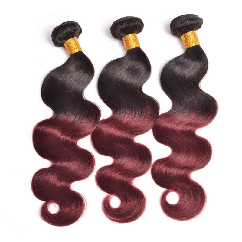 Alinybeauty Color 1b 99j Ombre Brazilian Hair Extension