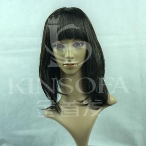 100% Human Hair Wigs