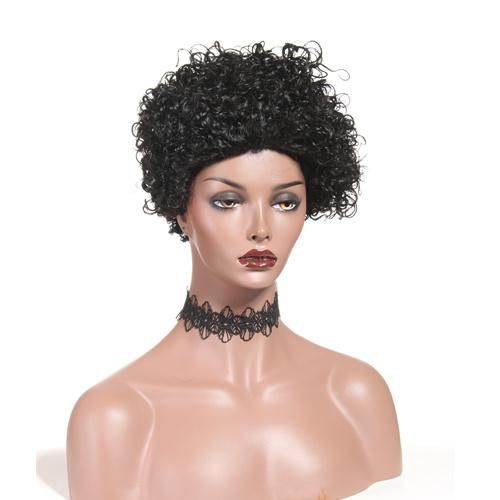 Human Hair Short Curly Wigs Black Afro Curly Wigs