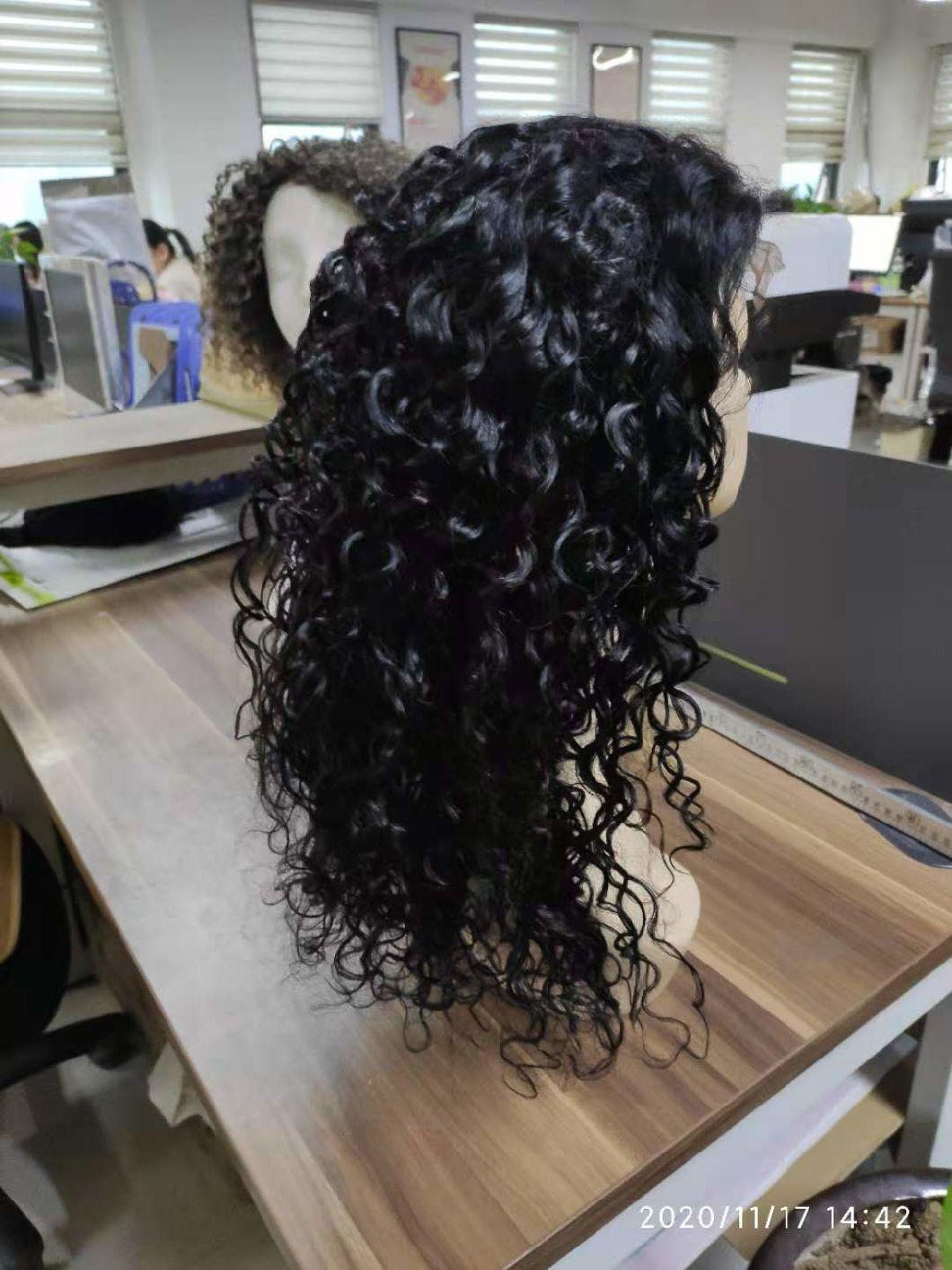 Natural Hair Brazilian Human Hair Wavy Lace Wigs
