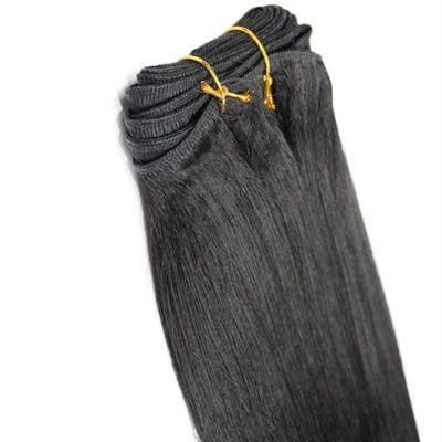 Affordable Price Mixed Hair Synthetic and Human Hair Straight Hair