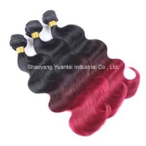Ombre Chinese/Brazilian Virgin Human Hair Weft (Weaving) Extension