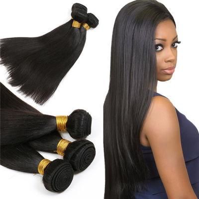 Wholesale Price Hot Sale Unprocessed Virgin 100% Brazilian Human Hair