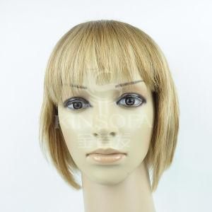 100 % Human Hair Machine Made Wig (Kinsofa 1011)