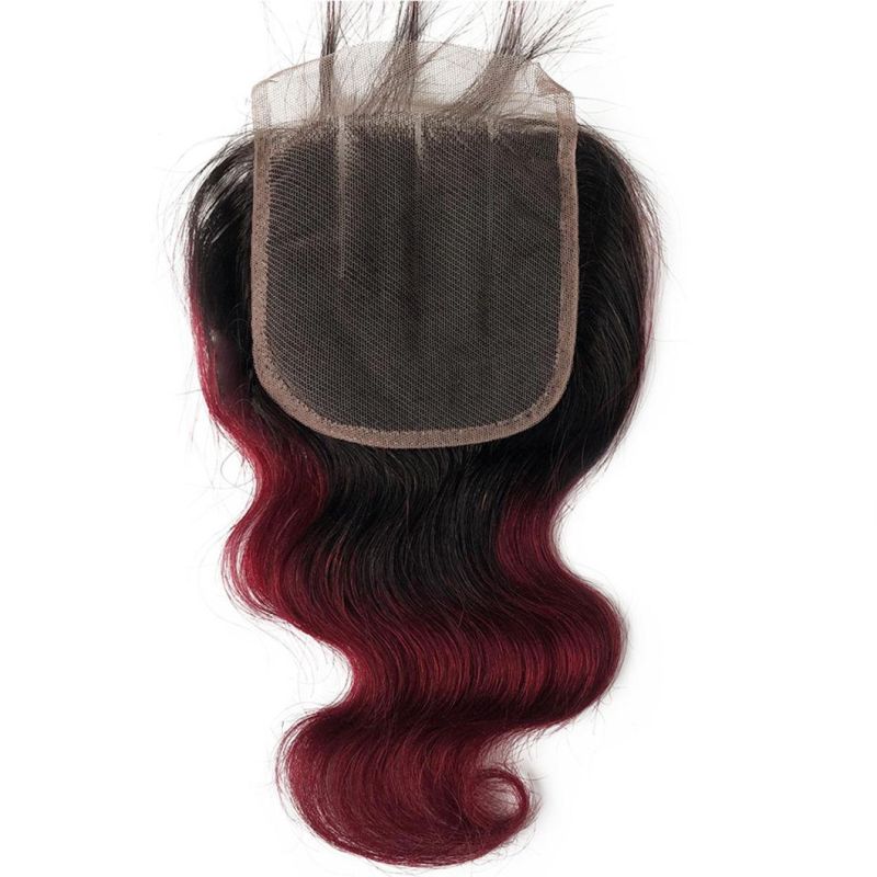 Beauty Ombre Loose Wave Brazilian Human Hair Bundles with Transparent Lace Closure