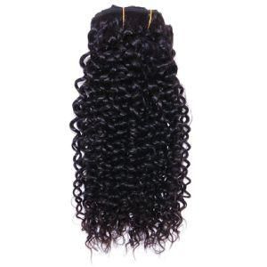Peruvian Jet Black Jerry Curly Clip-in 100% Human Hair