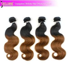 New Style Brazilian Virgin Human Ombre Hair