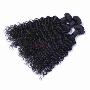 Indian Deep Curl 100% Remy Human Hair