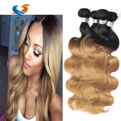 Wholesale Brazalian Virgin Hair Body Wave 100% Human Hair Weft