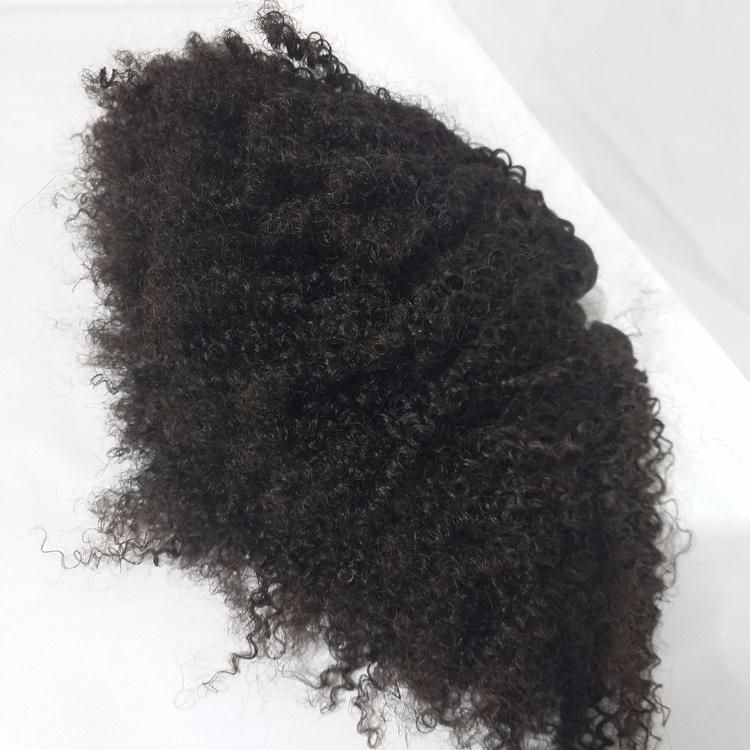 Brazilian Human Hair Extension Afro Kinky Curly Hair