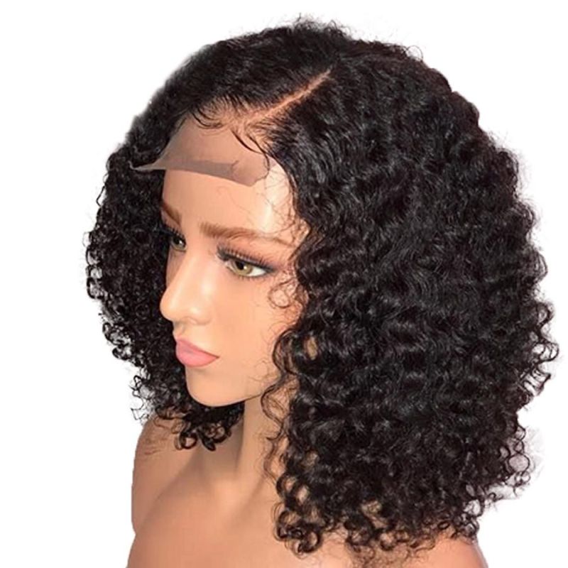 Afro Curly Wigs Lace Front Bob Curly Wigs Natural Hairline