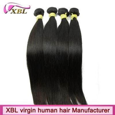 Top Brazilian Straight Pure Virgin Human Remy Hair