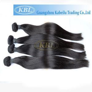 6A Grade Malaysian Human Hair