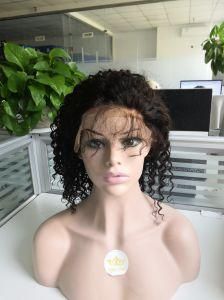 Full Lace /Lace Front Wig Curly Hair in Factory Wholesale Price