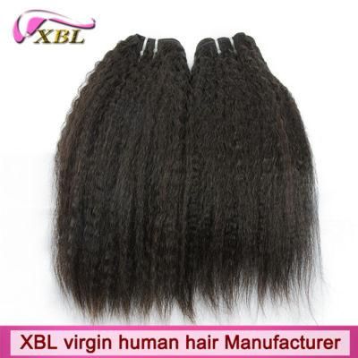 Cambodian Human Hair Weave Kinky Straight Hair