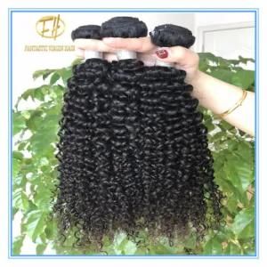 100% Unprocessed Natural Color Human Hair Cut From One Donor Wflkc-001