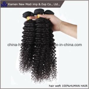 Curly Human Hair Weft Brazilian Human Hair