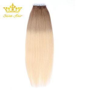 100% Virgin Human Hair Products with Tape in Hair Extension with Free Tangle