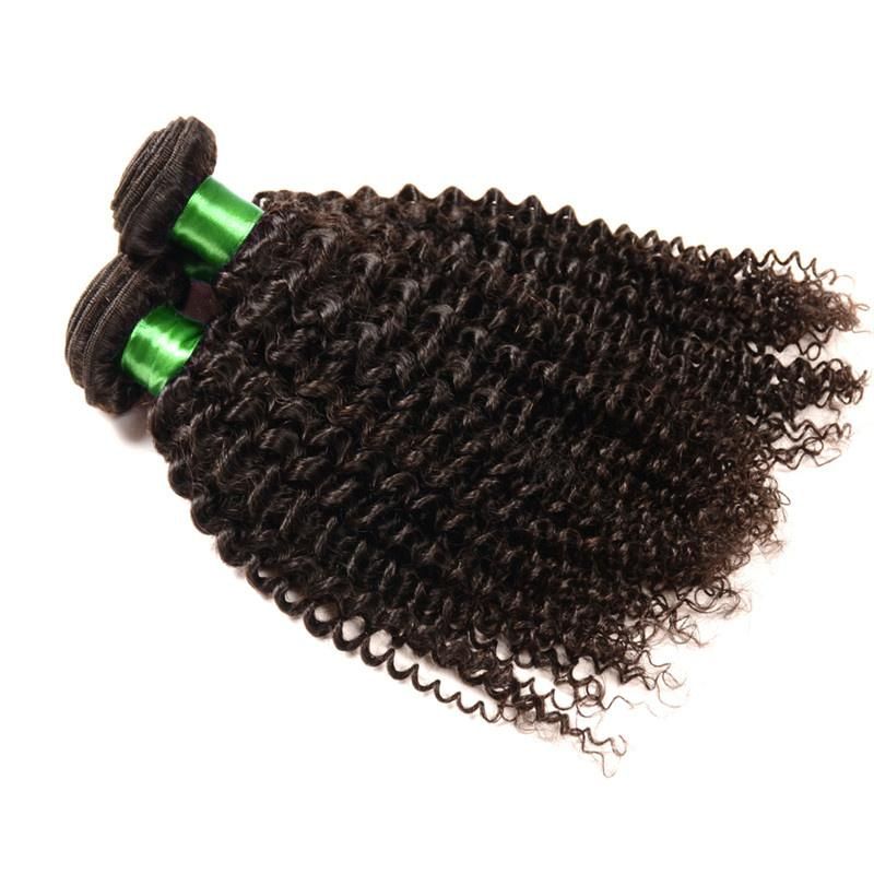 Grade 9A Brazilian Curly Virgin Hair Kinky Curly Virgin Hair 3PCS/ Lot Unprocessed Remy Human Hair Weave Afro Kinky Curly Hair