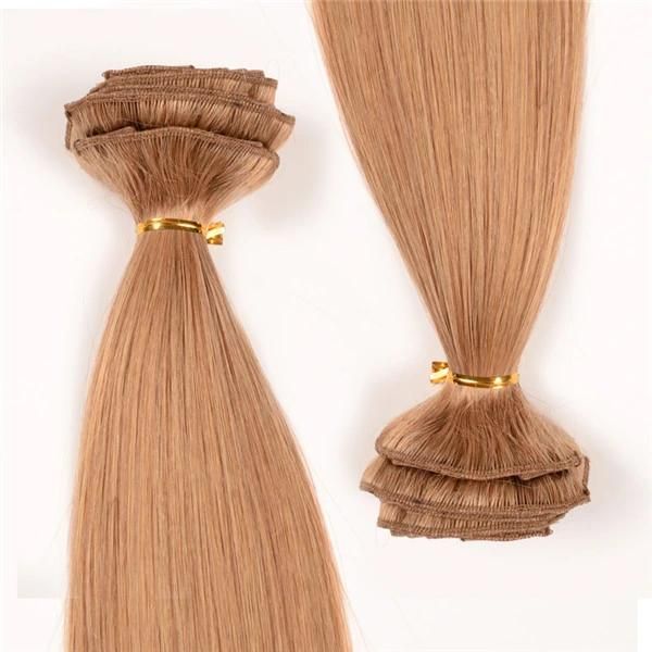 100% Brazilian Clip in Hair Straight