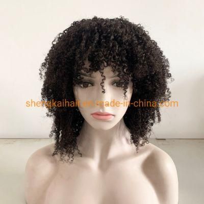 Wholesale Lace Front Afro Curly Natural Human Hair Women Wig