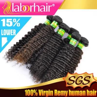 Kinky Curly 100% Brazilian Virgin Human Hair Extensions