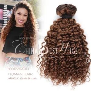 6# Curly Virgin Hair Weft