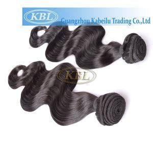 100% Virgin Unprocessed Malaysian 6A Human Hair