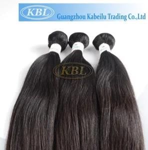 Natural Hair, No Shedding Malaysian Human Hair