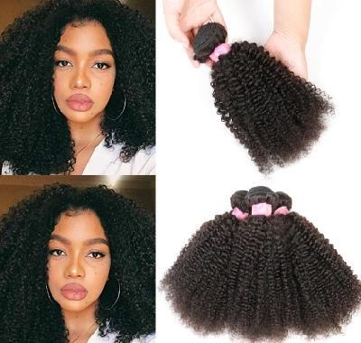 Afro Kinky Curly Human Hair Bundles for Black Women