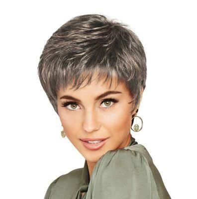 Pixie Wig Winner Petite Wig Brazilian Human Hair Wigs with Closure Lace Front Short Remy Virgin Hair for Woman