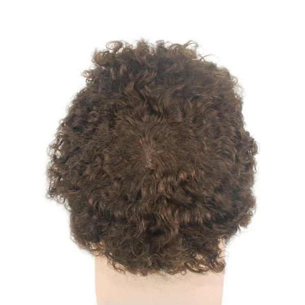 Ljc1561: Super Thin Skin with 1" Lace Front Small Curly Human Hair Wig