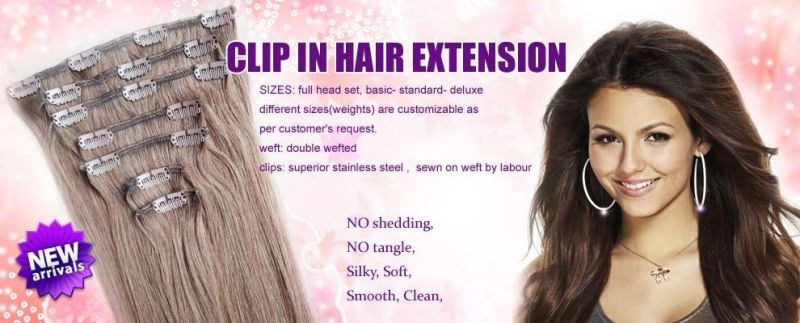 Human Hair Extension Virgin Hair Clip Hair Extension