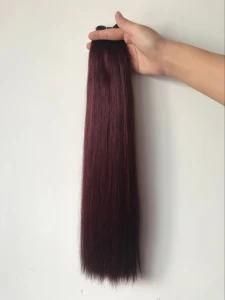 Factory Wholesale Virgin/Remy Brazilian Human Color Hair Bundle with High Quality