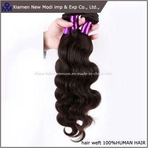 Nature Color Brazilian Remy Human Hair Weave