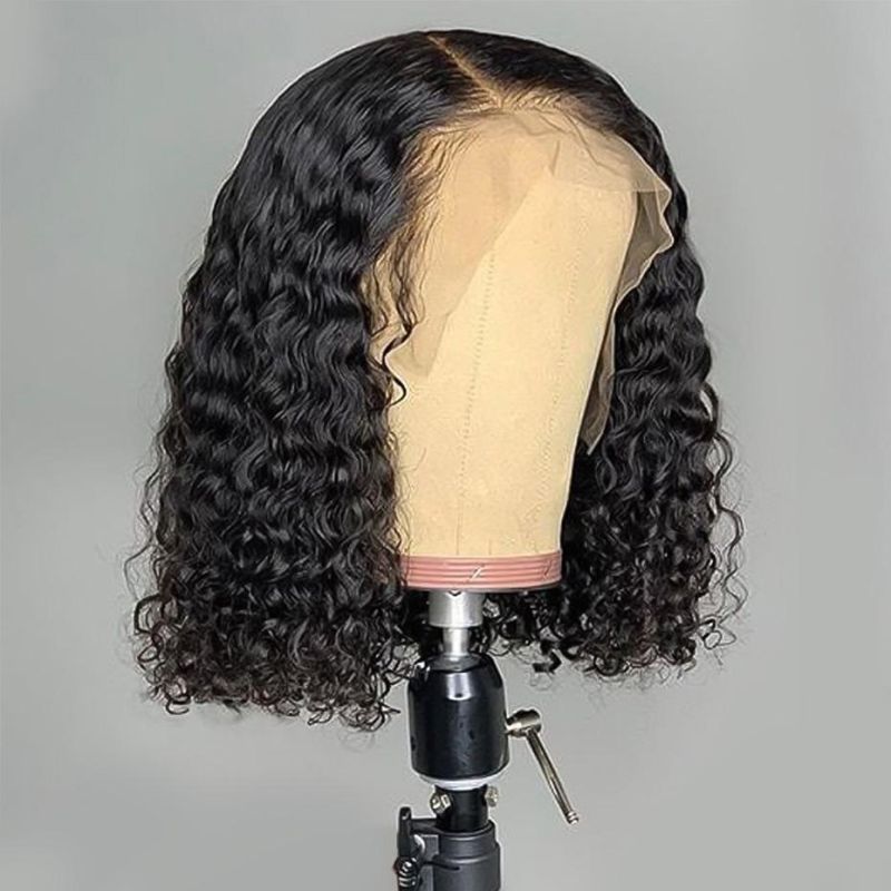 Wholesale Brazilian Virgin Human Hair Front Lace Wig Transparent Swiss Lace Wig Jerry Curly Lace Front Wigs for Black Women