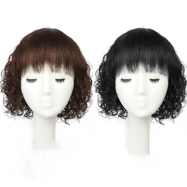 New Fashionable Hot Sale African Wigs Synthetic Hair Full Lace Wigs