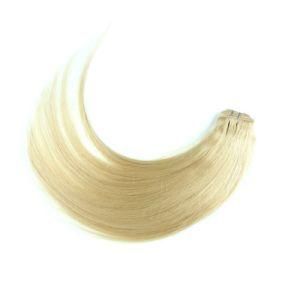 613 Virgin Product Raw Brazilian Human Hair Bundles Vendors